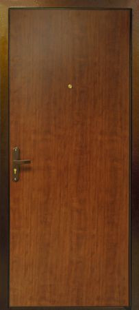 ЦСД Входная дверь Аргус AMD 1, арт. 0003545