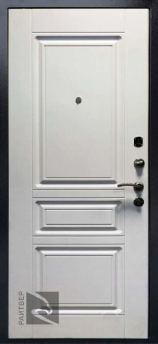 Райтвер Входная дверь Стронг 100, арт. 0001290 - фото №1