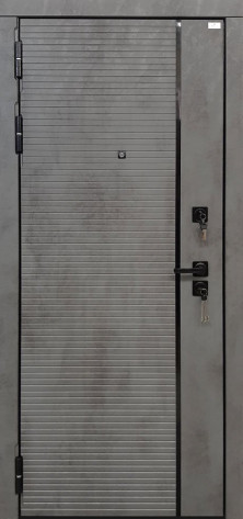 ЦСД Входная дверь Аргус Палмер, арт. 0002695